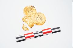 Foto von Goldzierblech (NHMW-PRAE-025251)